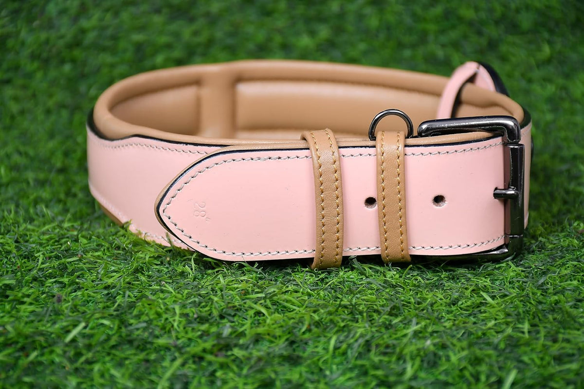 PAWSOFT® Airtag Leather Dog Collar for Medium Large and Extra Large Dog - Soft Padded, Heavy Duty Dog Collar Rust Proof Metal Buckle, Gift for Pets Size-XL (Fits Neck 21-25 inches) Pink