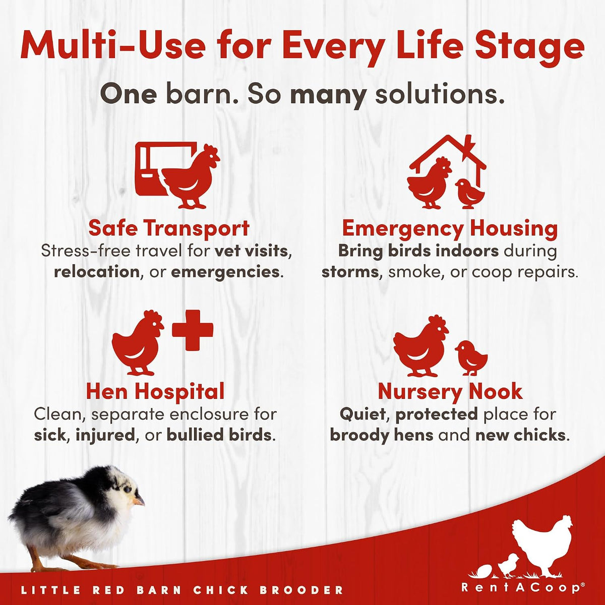 RentACoop Little Red Barn Chick Brooder