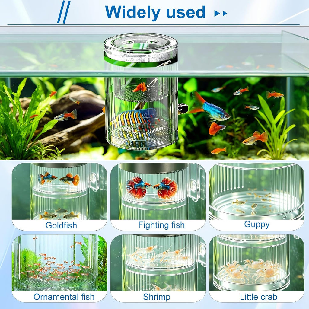 Floating Acrylic Breeder Box for Fish Tank