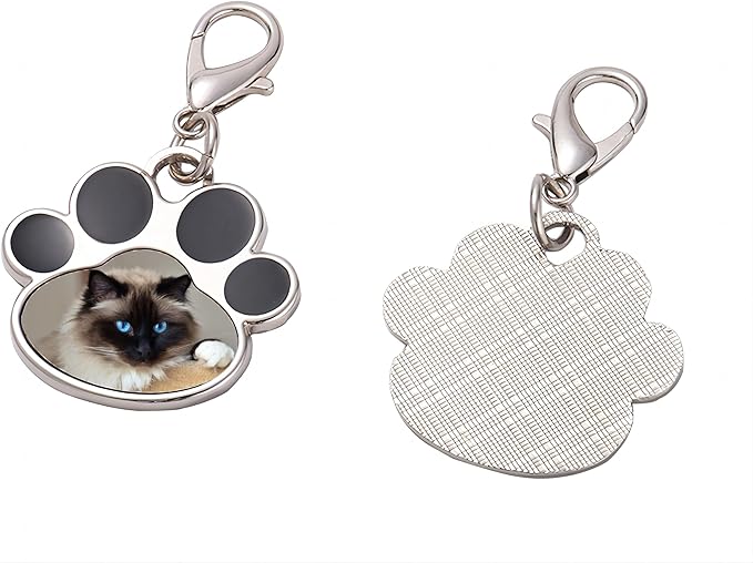 Custom Pet Photo Keychain Personalized Photo Pawprint Dog Tag Keychain Engraved - Image 2