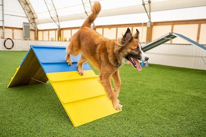 Better Sporting Dogs Agility A-Frame | Dog Agility Equipment | Dog Agility - Image 5