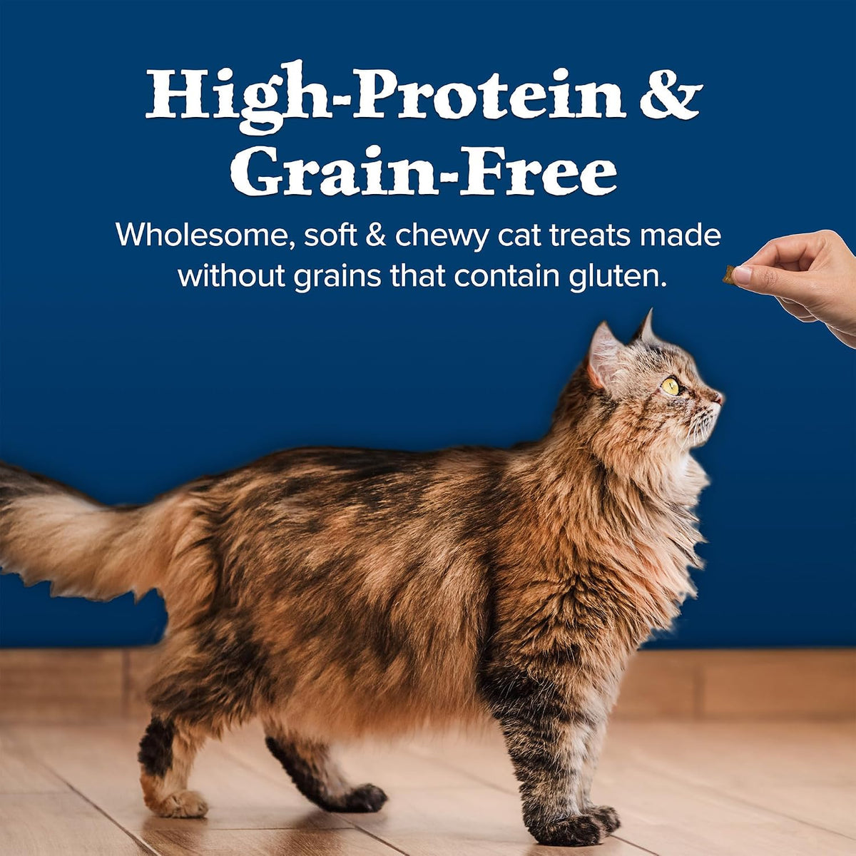 Blue Buffalo Wilderness Chicken & Turkey Soft Cat Treats, Grain-Free, 2 Ounce (Pack of 12)