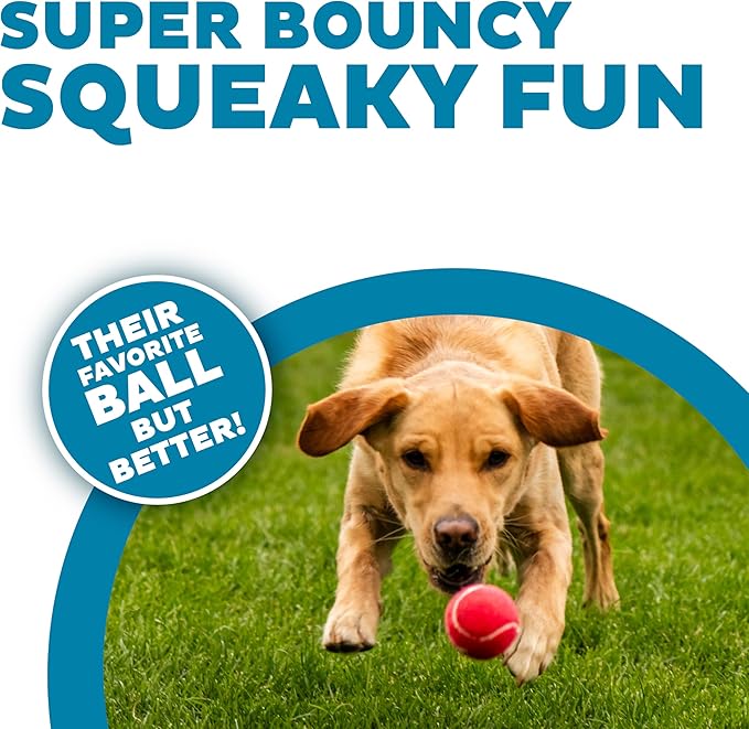 Outward Hound Squeaker Ballz – Squeaky Tennis Balls - Image 2
