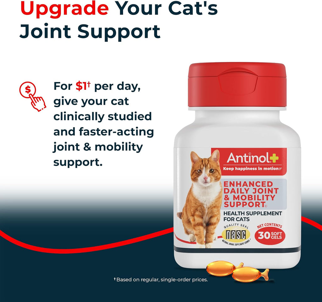 Antinol Plus Mobility Hip & Joint Supplement for Cats, 30 Soft Gels