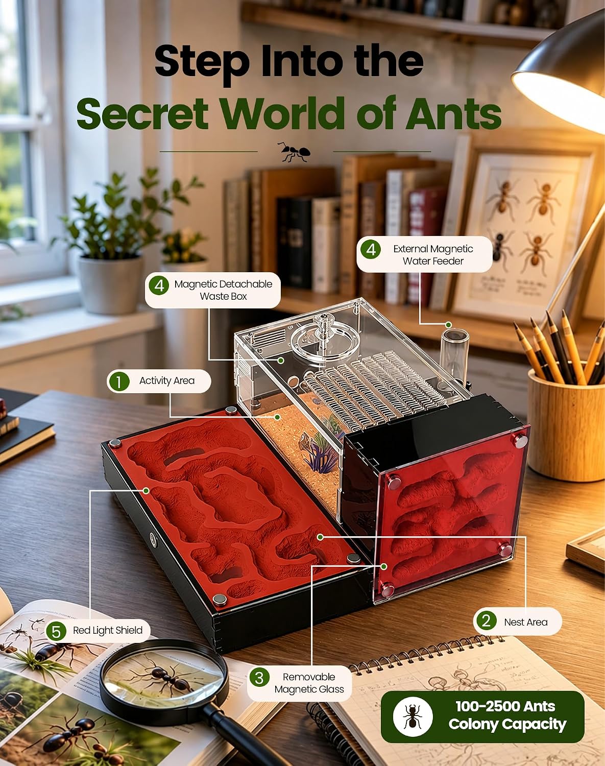 Ant Formicarium for Live Ants & Queen, Dual-Level Ant Nest