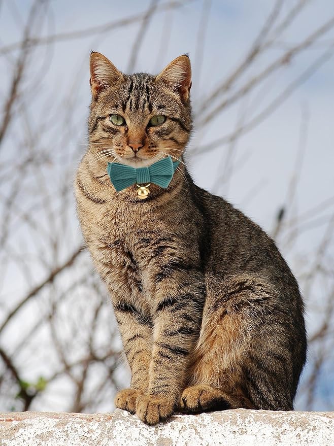 2 Pack Soft Corduroy Christmas Cat Collars - Image 6