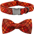 Fall Dog Collar, Pet Collar Bow Plaid Pet Collar Girl Boy Holiday Pet Collars by BoboRainbow