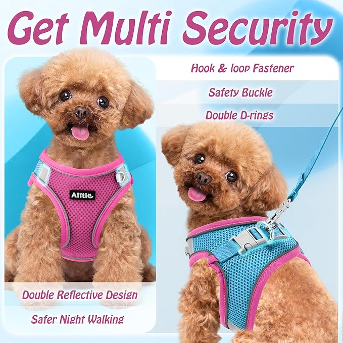 AIITLE Step in Dog Harness and Leash Set - Image 4