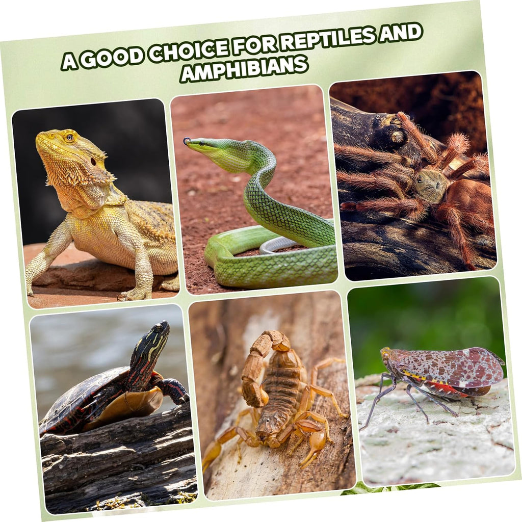 Yardwe 14Pcs Natural Cork Bark Reptile Hideout and Climbing Platform Multi-Functional Habitat Decor for Bearded Dragon Gecko Snake Terrarium Accessories