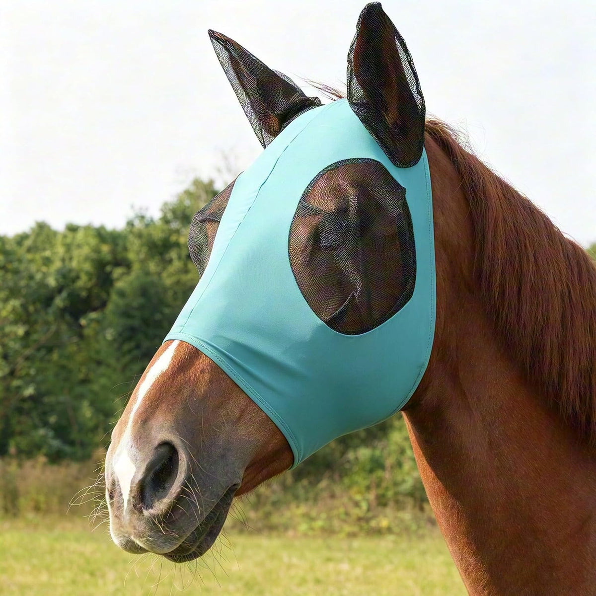 Horse Fly Mask – Nylon-Spandex Face with Breathable Mesh Eyes & Ears, UV Protection Soft Edging Prevents Chafing, Durable & Easy to Clean for Horses & Ponies, Size M