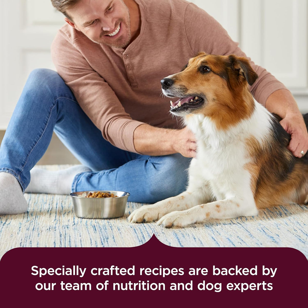 Nutrish High Protein Dry Dog Food, 23 lb. Bag (Rachael Ray)