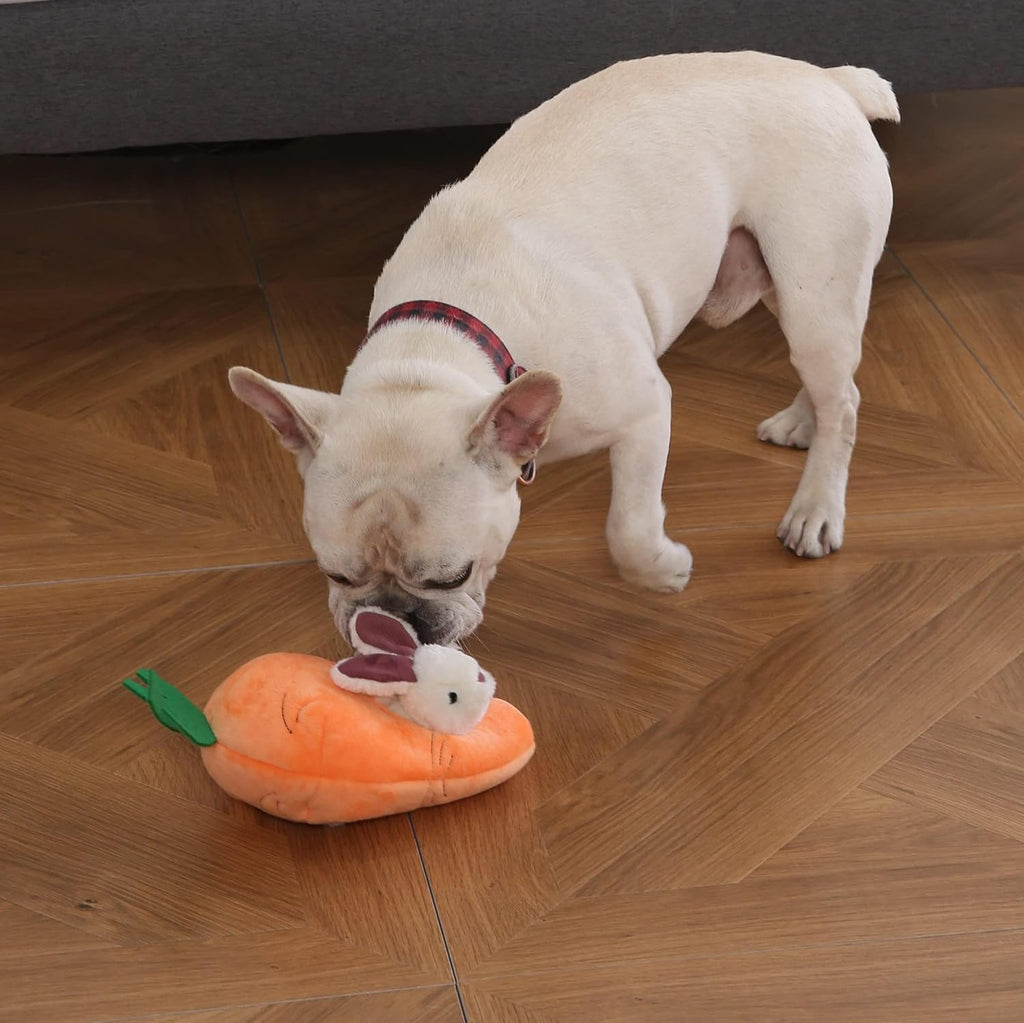 Amazon Basics Interactive Hide and Seek Squeaky Dog Plush Toy with Squeaker for Small Dogs, Rabbit and Carrot, Orange and White, 5-Pack
