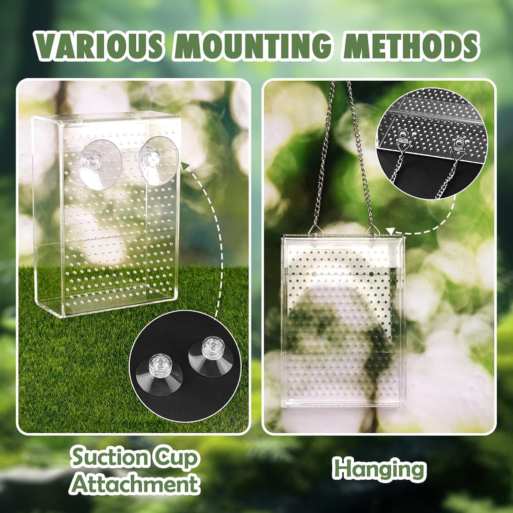 Chameleon Feeder Box with Suction Cups, Acrylic Feeding Bowl for Bearded Dragon, Wall-Mounted Insect Feeder for Lizard, Iguana, Gecko, Frog