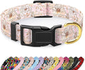 Reflective Dog Collar for Small Dogs, Cute Flower Theme Adjustable Heavy-Duty by TMOODEL