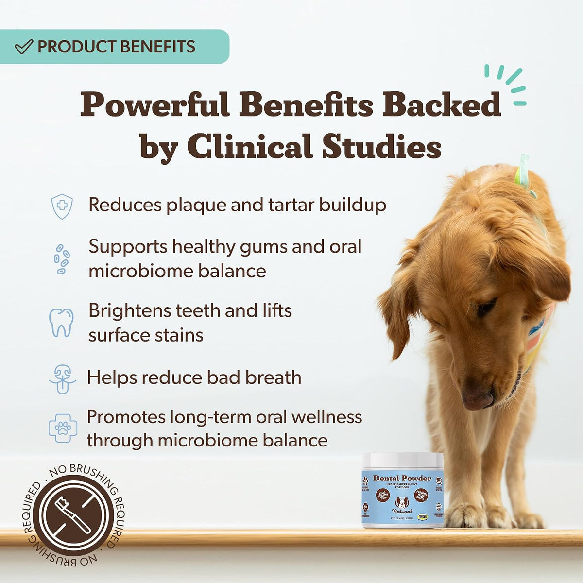 Natural Dog Company Dog Dental Powder for Dogs, Teeth Cleaning, 2.82 oz
