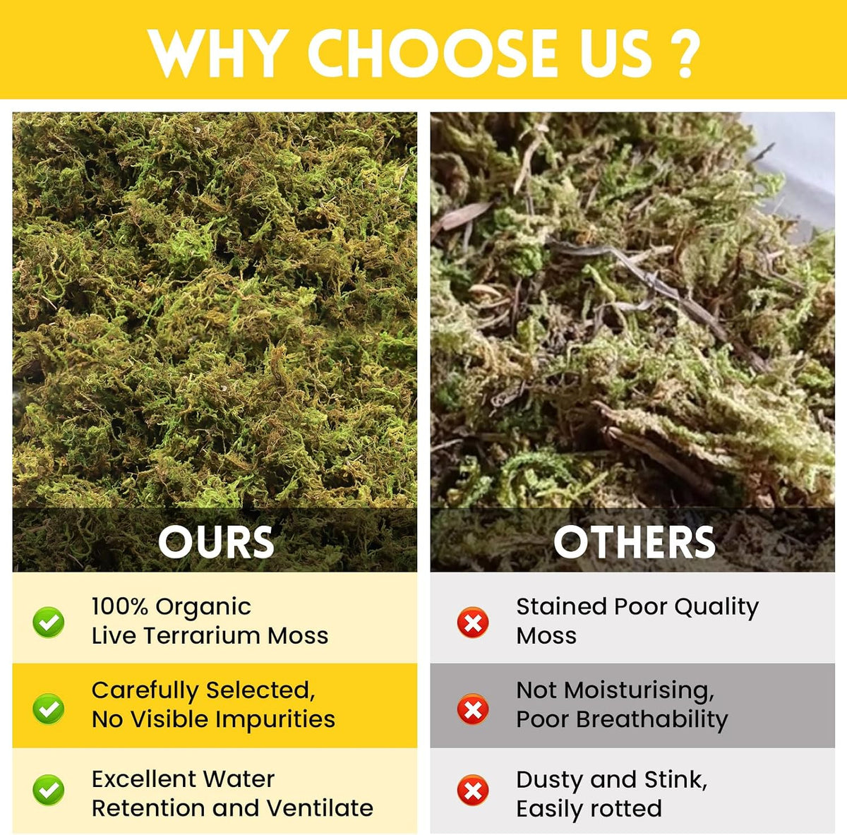 Riare 2.6LB Natural Sphagnum Moss for Reptiles, Terrarium Substrate Bedding