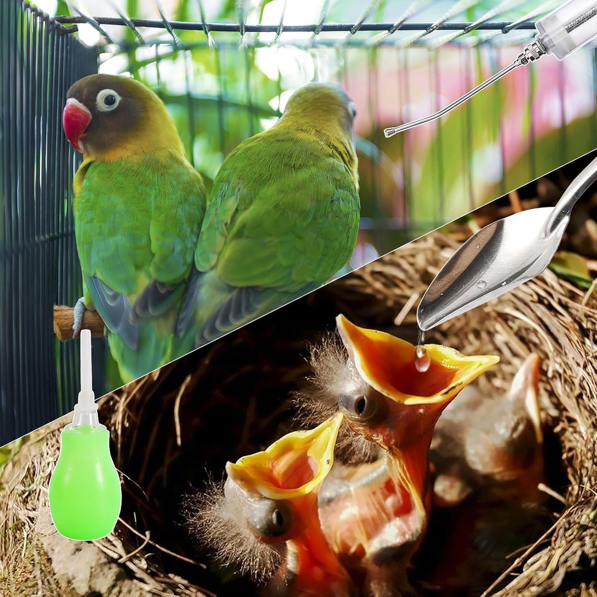 20ML Baby Bird Feeding Syringe Set Pet Syringe