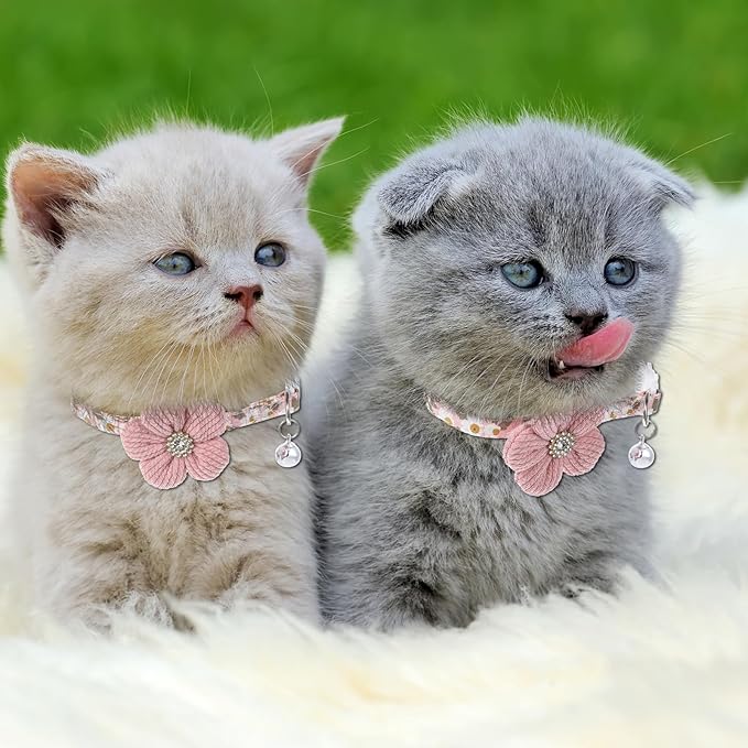 Cat Collars Breakaway Cat Collar - Image 5