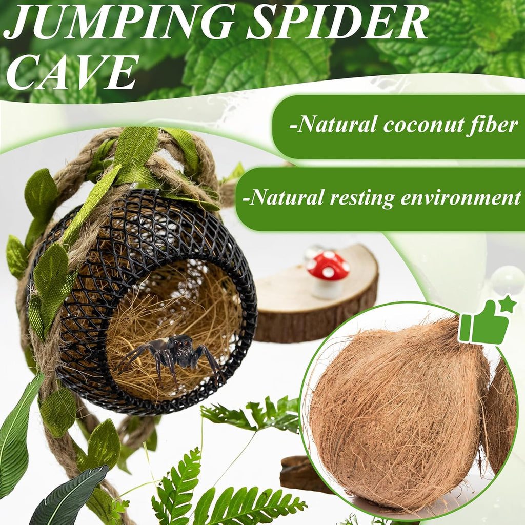 Jumping Spider Habitat Accessories Enclosure Habitat Accessories Jumping Spider Web Climbing and Feeding Platforms with Magnets for Small Insects Critters