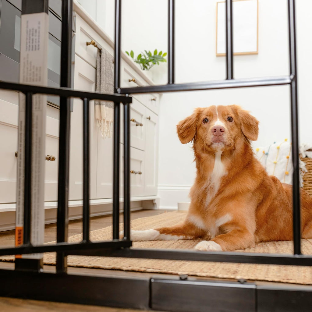 Carlson 29–36.5" Extra Wide Walk-Thru Dog Gate with Small Pet Door, Black
