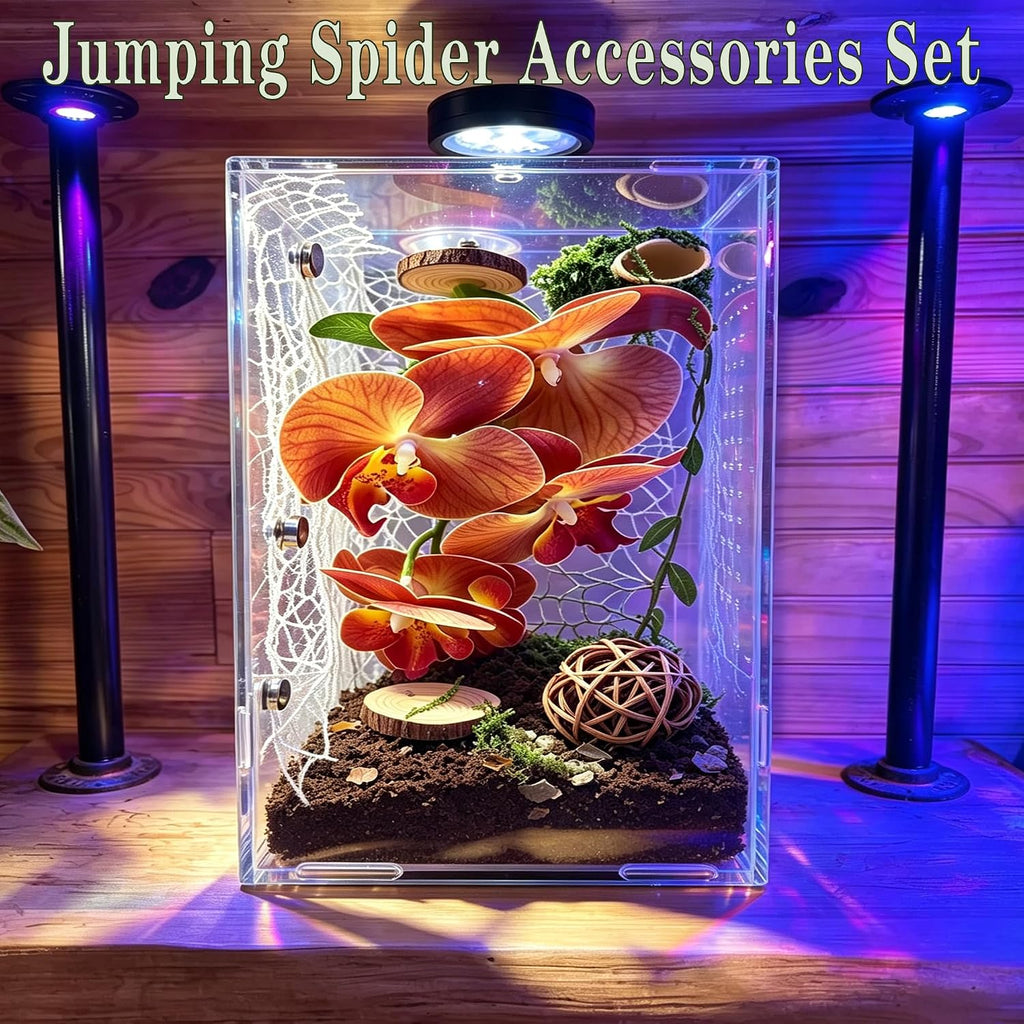 Jumping Spider Accessories Kit, Suitable for Enrichment Hideouts for Small Insects