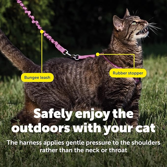 PetSafe Come With Me Kitty Cat Harness & Bungee Leash - Image 5