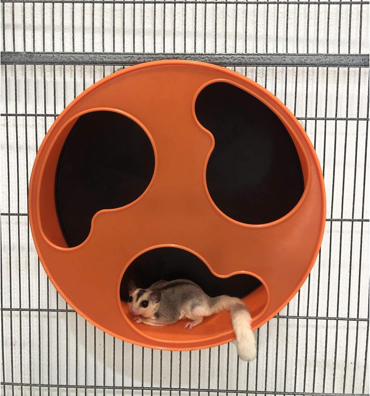 Silent Runner 12" Regular | Wheel + Cage Attachment | Sugar Gliders, Hamsters, Rats