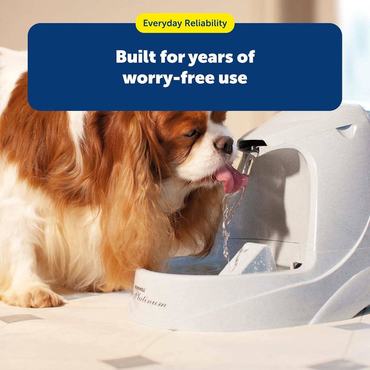 PetSafe Simply Feed Power Adaptor for Automatic Dog and Cat Feeder, Black