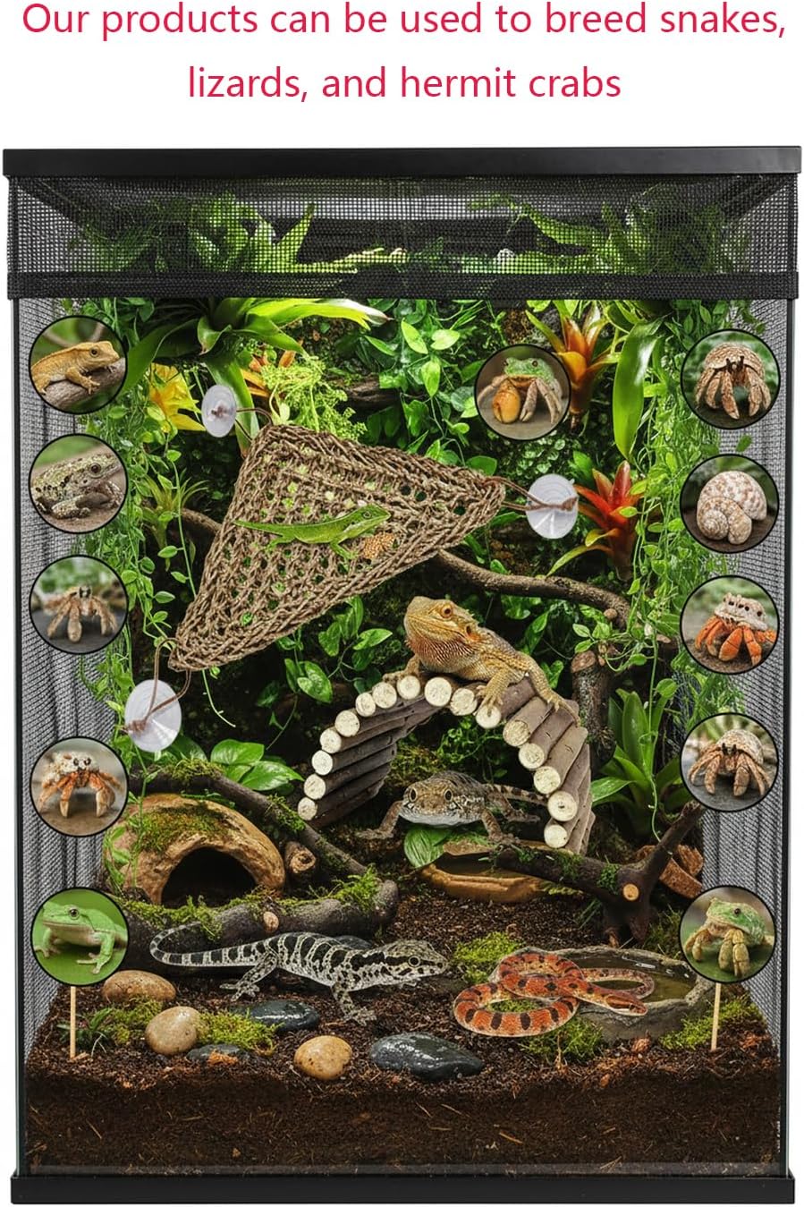 Bearded Dragon Hammock, Reptile Tank Decor with Climbing Hammock & Natural Wood Hideout for Bearded Dragon, Leopard Gecko, Lizards, Snakes, Tortoises Habitat Enrichment