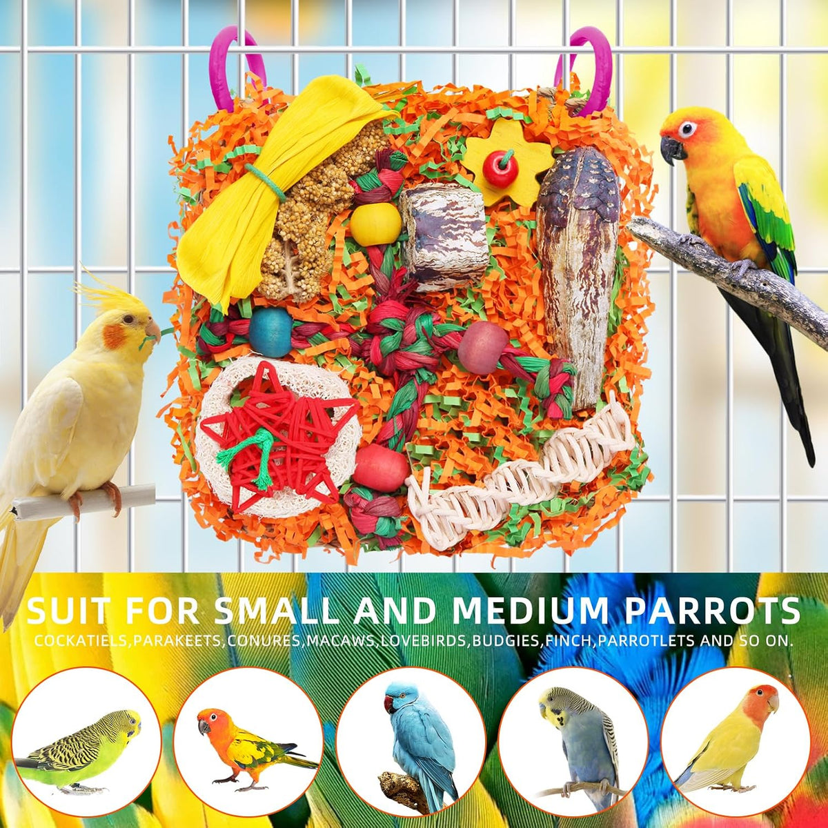 Bird Toys for Small & Medium Parrots - Natural Foraging & Shredding Cage Hanging Toys with Seagrass Mat, Starfruit, Loofah Slices for Budgies, Cockatiels, Lovebirds, Conures (2 PCS)