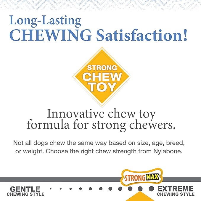 Nylabone Gourmet Style Femur & Wishbone Strong Chew Toy - Image 7