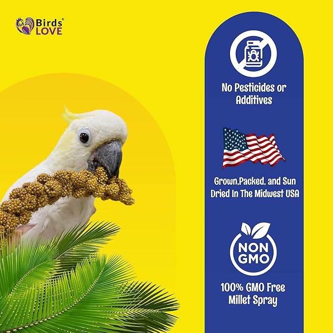 Birds LOVE Economy Special Spray Millet GMO-Free - Image 5
