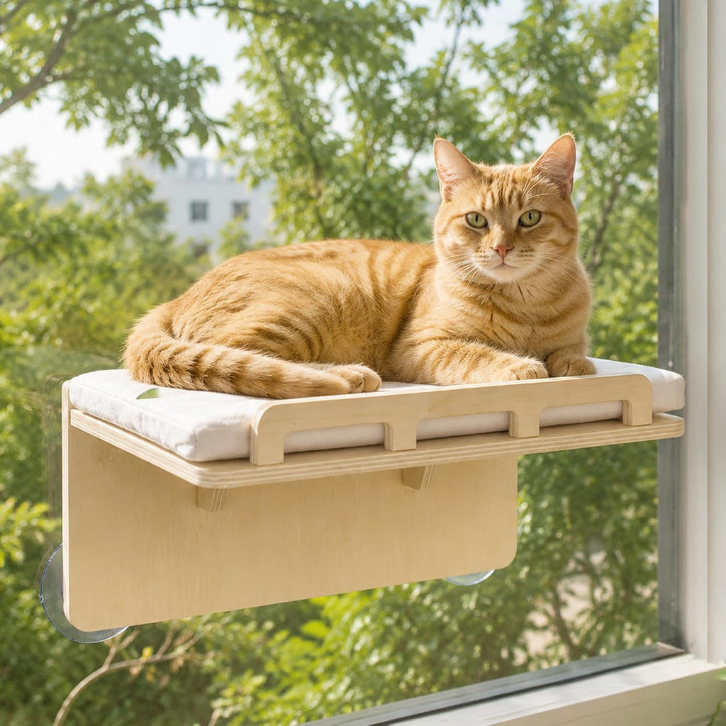 PETKARAY Large Cat Window Shelf and Window Bird Feeder Cat Television