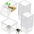 20 Pcs Insect Spider Terrariums Breeding Box Small Reptile Hatching Container Transparent Cricket Keeper Breeder Box Feeding Spider Cage with Lid for Scorpion Gecko Tortoise Centipede Tarantula