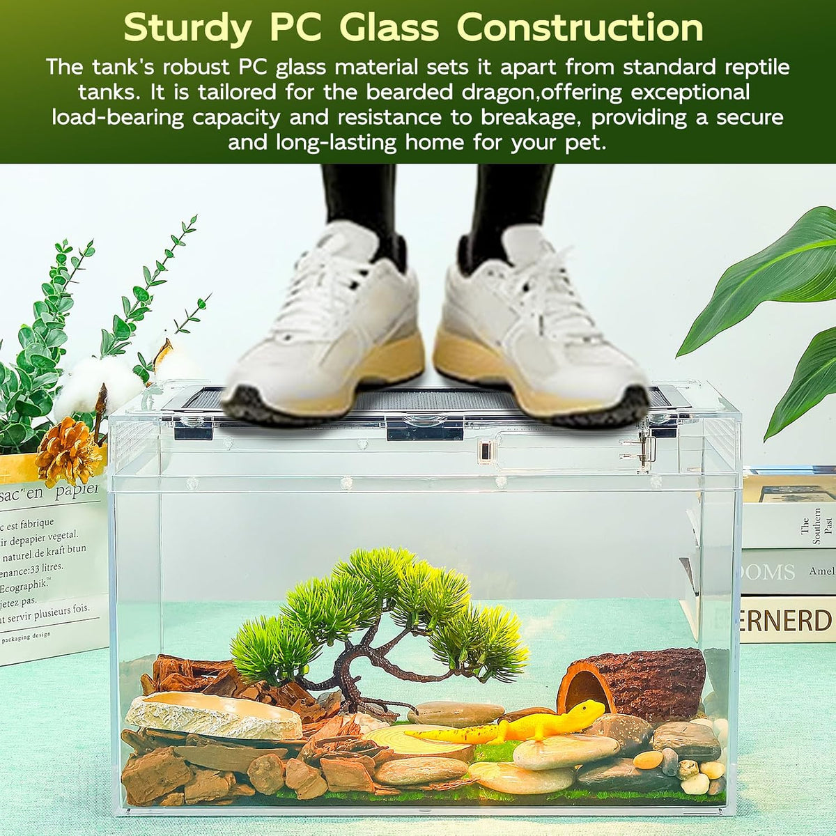 12.5x6x7 Reptile Terrarium Kit with Heat Lamp & Hideout for Geckos, Snakes