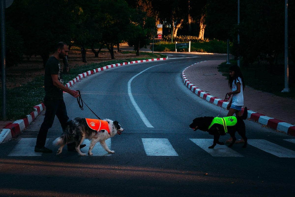 Reflective Dog Vest. Hi-Visibility, Fluorescent Neon Yellow Dog Vest Helps Protect Your Best Friend. Safeguard Your PUP from Motorists & Hunting Accidents, On or Off Leash - Upgraded model