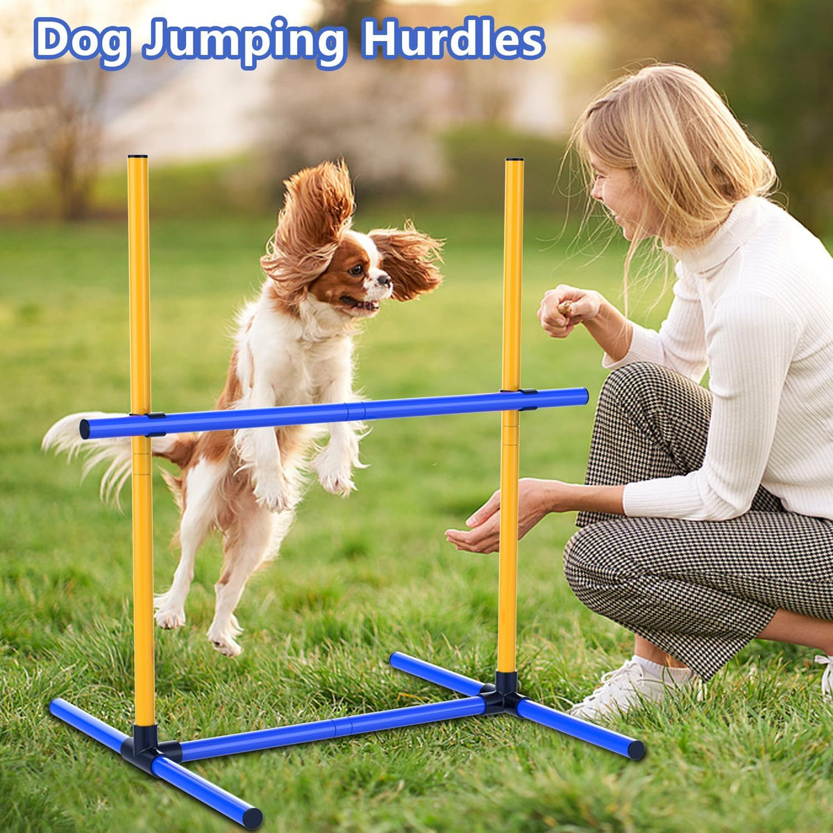 Adjustable Dog Agility Hurdles with Carry Bag, 2 Sets