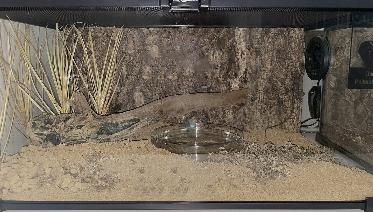 Fake Desert Dry Grass Reptile Plants Bearded Dragon Terrarium Décor