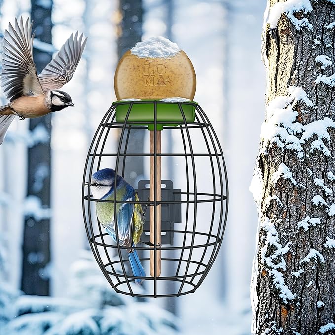 LONA Squirrel Proof Bird Feeding Cage - Image 4