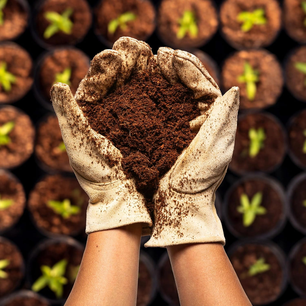 Coco Bliss Coco Coir 650gm Bricks (6-Pack) | Expands Up to 48 Quarts