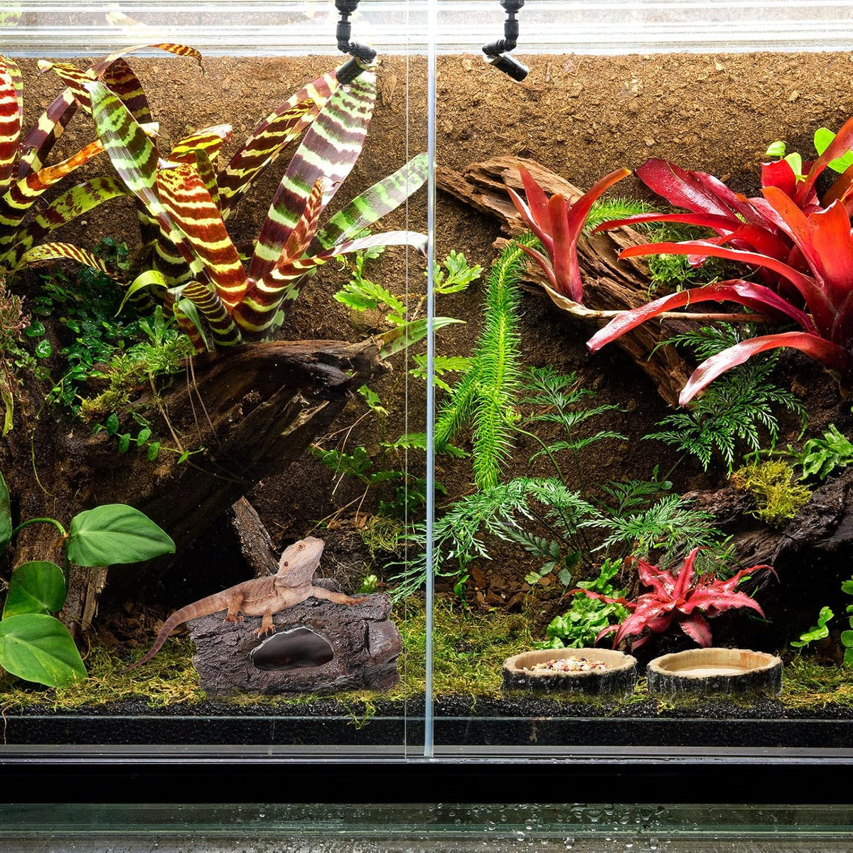 Reptile Hide & Food Bowls - Lizard Resin Hollow Tree Trunk Hideout, Bearded Dragon Tank Accessories - Water Dish Habitat Tank Decoration for Lizards, Snake, Gecko - 3 Pcs (Brown Rock)
