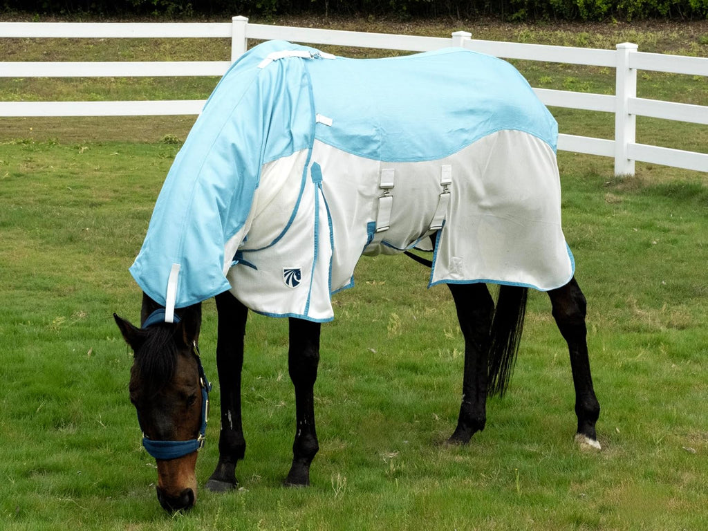 Mesh Horse Fly Sheet with Detachable Neck Cover | Dual-Zone UV Protection & Breathable Design | Elastic Webbing Belly Wrap & Leg Straps | Blue, 75 Inch