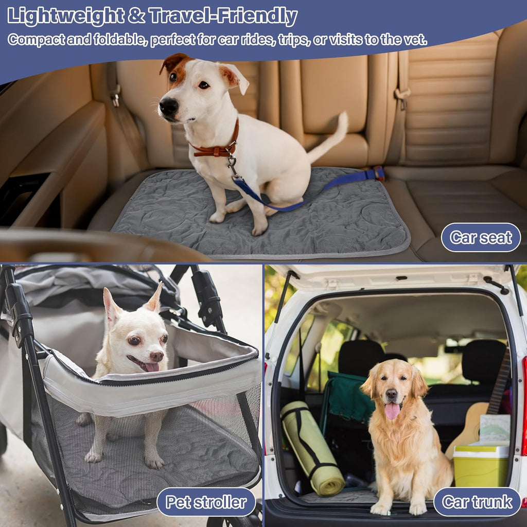 Kritter Planet Pack of 2 Waterproof Pet Pads, Small Furniture Pads, Reversible Dog Mat, 16 x 24 inch