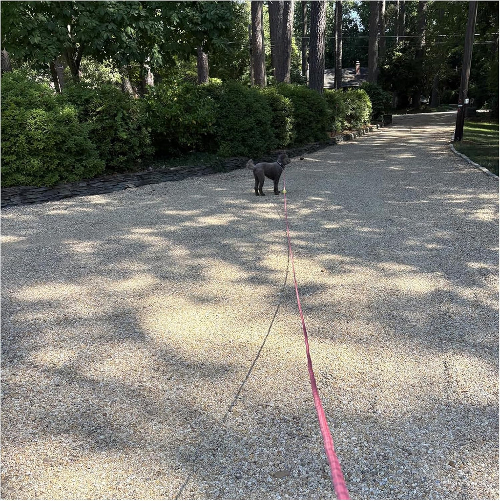 30FT Reflective Tie-Out Rope for Medium Large Dogs Long Dog Tether