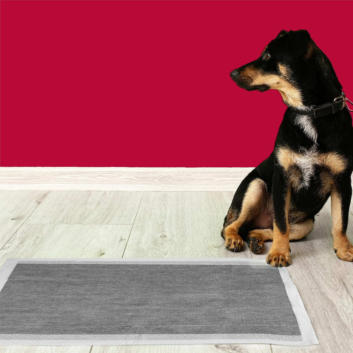 Nature's Miracle Advanced Dog Training Pads, Carbon Activated, 25 Count