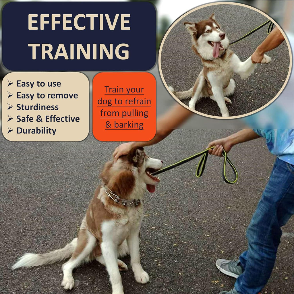 DEYACE Quick Release Dog Training Collar Adjustable Stainless Steel Collar for Small Medium Large Dog (Black, M/L Neck Girth 14.5"-18.6")