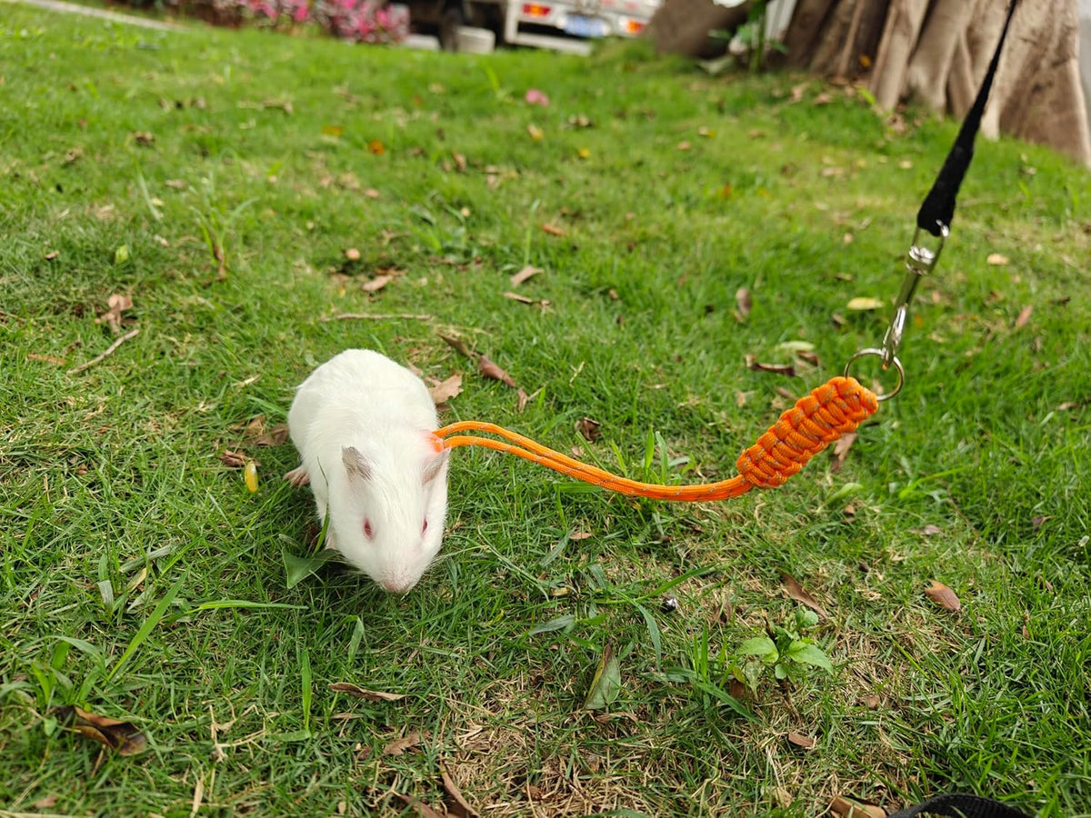 GOMICRAFT Handmade Figure 8 Harness and Leash for Ferrets/Guinea Pigs/Rats