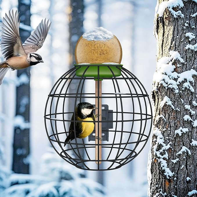 LONA Squirrel Proof Bird Feeding Cage - Image 4