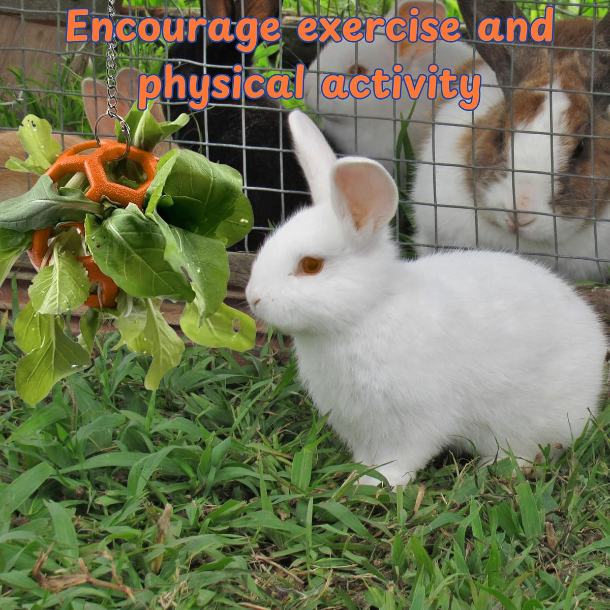 Rabbit Treat Ball Bunny Enrichment Toys with Stainless Steel Hanger Set, Veggie Feeding Rabbit Ball Toy for Bunny Hedgehog Tortoise Guinea Pig Rabbits, Pets Treat Balls Accessories (Orange)