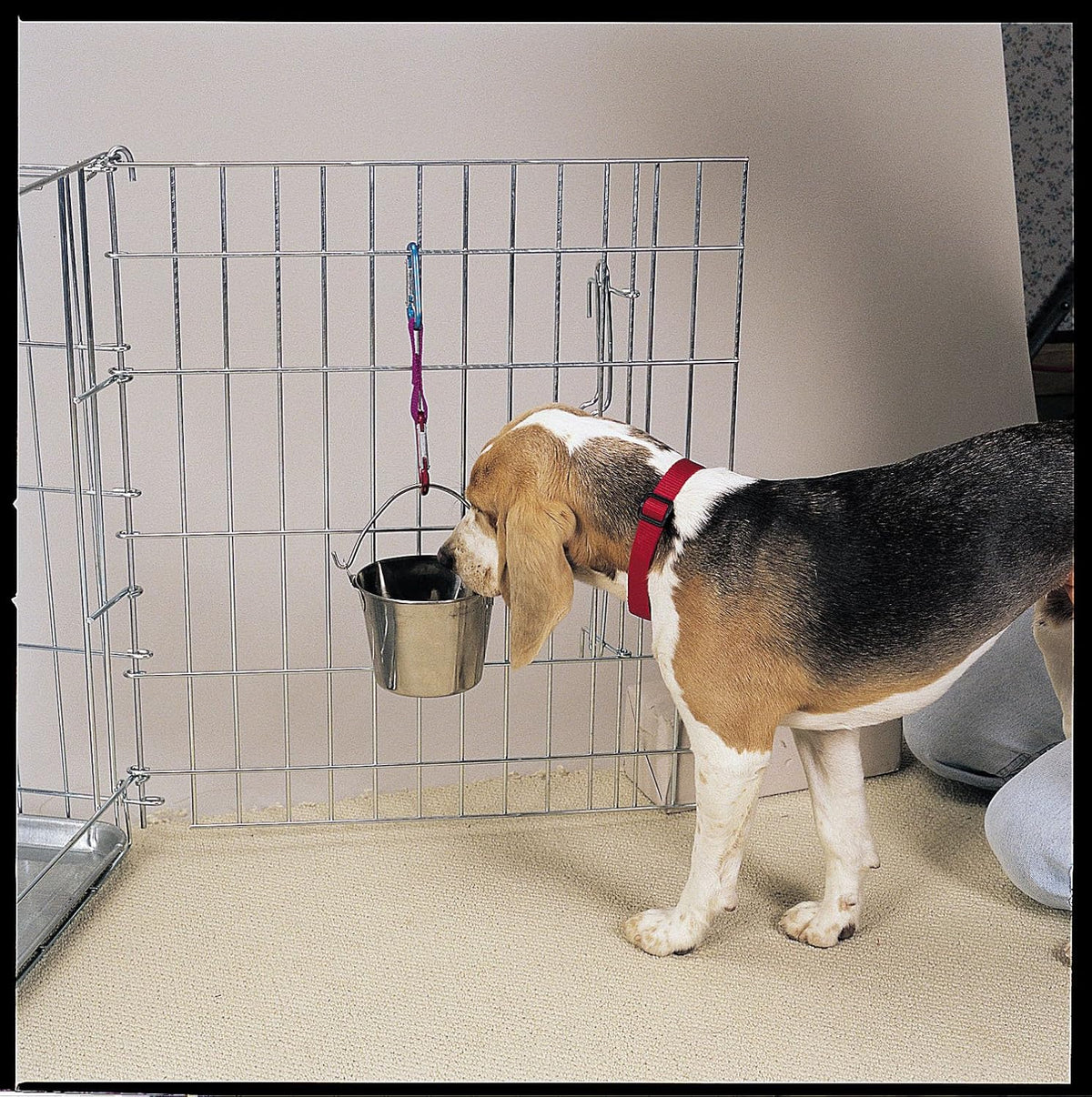 ProSelect Stainless Steel Flat Sided Pails — Durable Pails for Fences, Cages, Crates, or Kennels - 8¾", 6-Quart